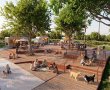 כפר החוסן הלאומי הראשון של ישראל יוקם בשער הנגב: פרויקט "אסיף" יוצא לדרך בהשקעה של כ־100 מיליון שקל