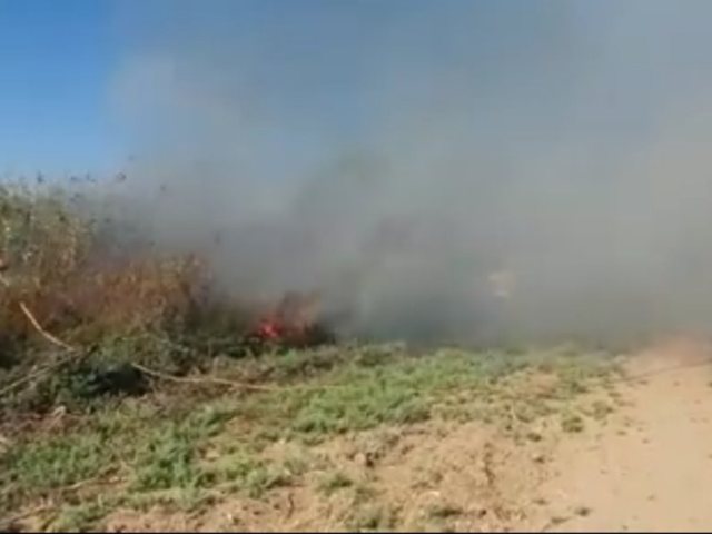 שריפה בעלומים