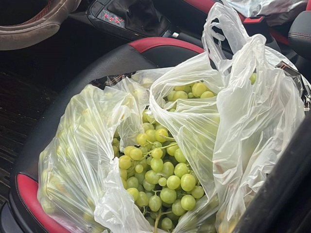 דוברות משטרה