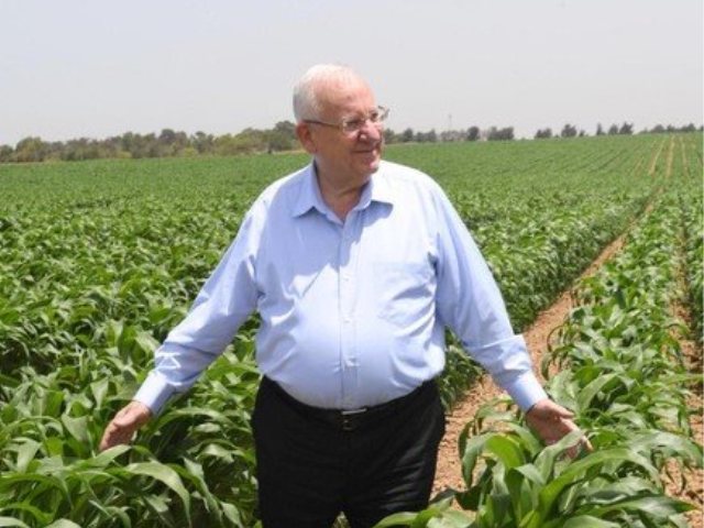 צילום מארק ניימן