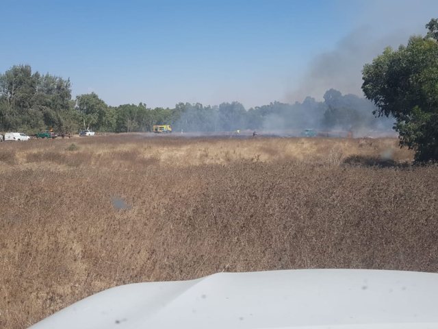 צרלי מור יוסף יערן קק"ל