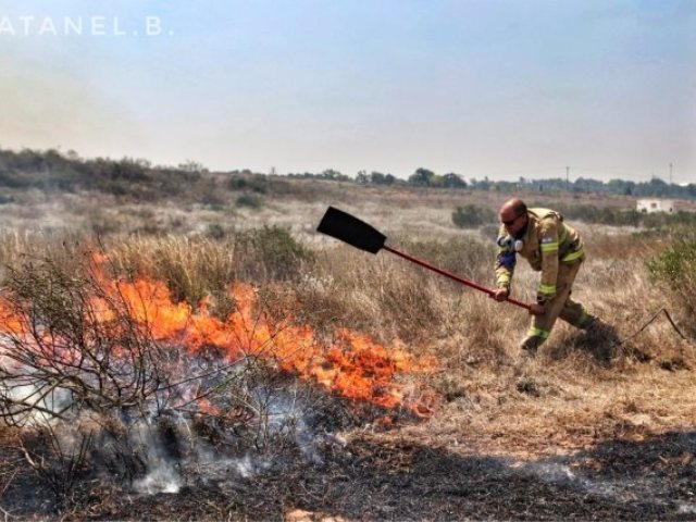 דוברות כב"ה דרום