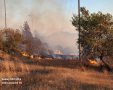 קרדיט: תיעוד מבצעי כבאות והצלה לישראל מחוז דרום