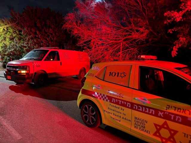 מדא הצלה דרום