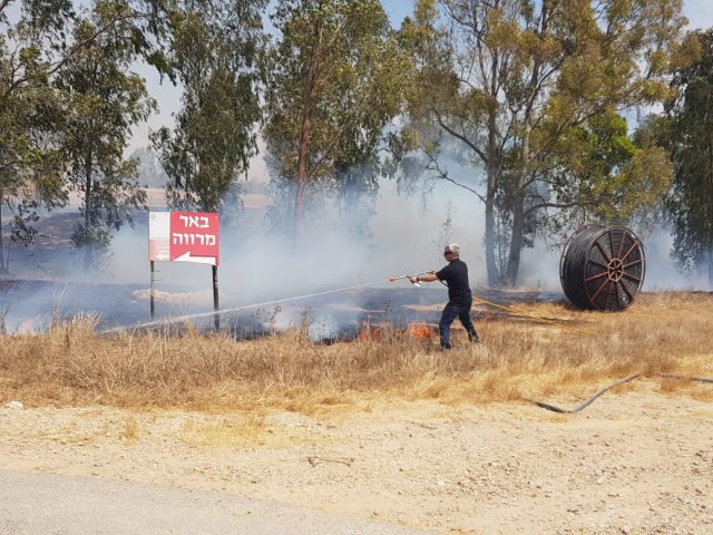 צילום משה דרוכי יערן קק"ל