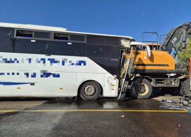 דוברות הצלה דרום