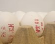 ארכיון - עלייה במחירי הביצים