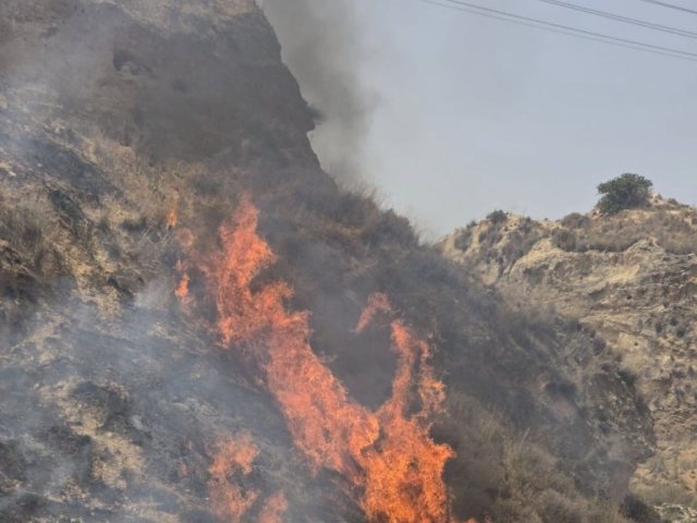 שריפה ביער חרובית כבה מחוז,דרום