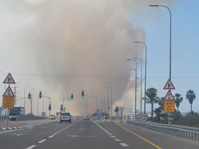 צילום אלדה נתנאל 
