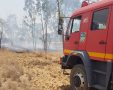 השריפה ביער שמחוני( צילום: משה ברוכי, יערן קק״ל)