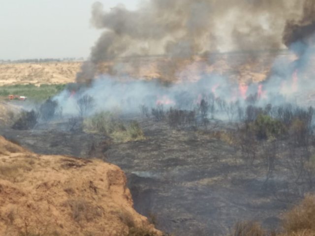 דוברות כב"ה דרום