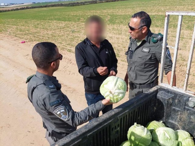דוברות שדות נגב/ משטרה