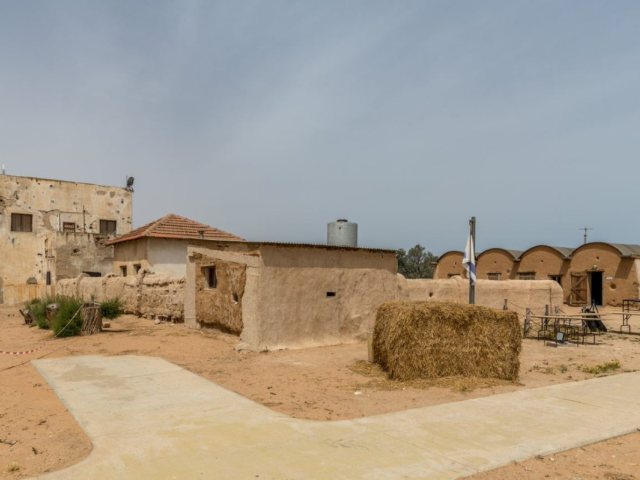 מצפה גבולות 1 צבי הנרי כהן