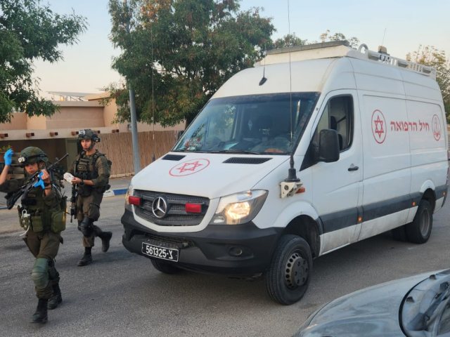 כוחות הביטחון וההצלה