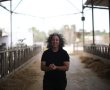 גאווה: אות "אישה פורצת דרך בחקלאות" יוענק לטלי מדינה, מנהלת הרפת בקיבוץ אורים