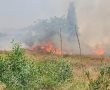 שריפת קוצים כביש 4 סמוך למושב ניר ישראל 