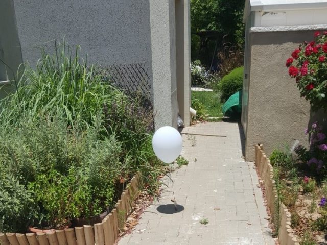 בלון תבערה- דוברות משטרה
