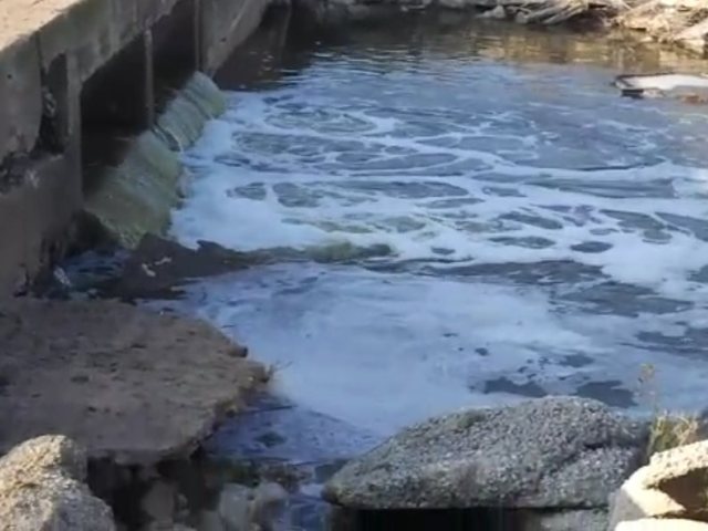 צילום מסך